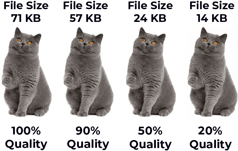 WordPress Image Size Guide