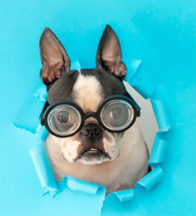 jpeg-image-example-117kb