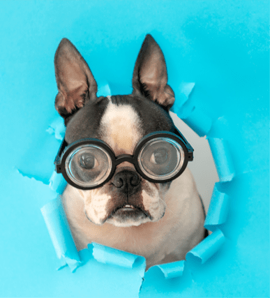 png-image-example-241kb