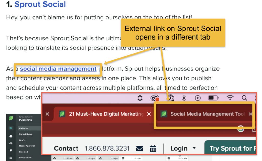 External Linking 6 new tab example